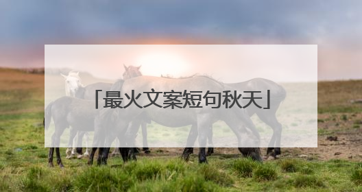 最火文案短句秋天