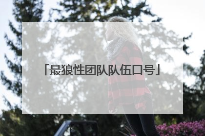 最狼性团队队伍口号