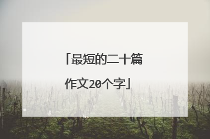 最短的二十篇作文20个字