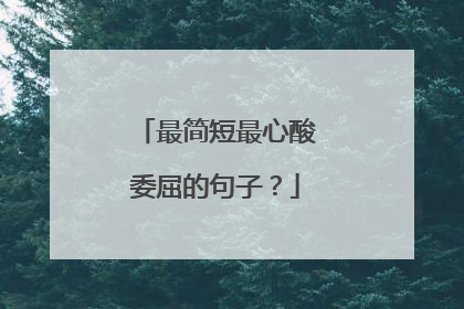 最简短最心酸委屈的句子?