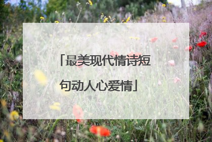最美现代情诗短句动人心爱情