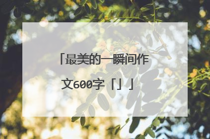最美的一瞬间作文600字「」