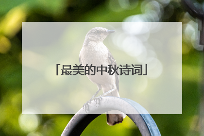 最美的中秋诗词