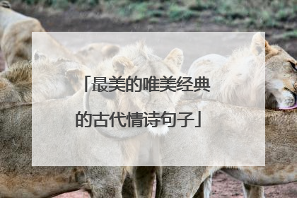 最美的唯美经典的古代情诗句子