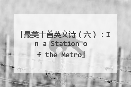 最美十首英文诗(六):In a Station of the Metro