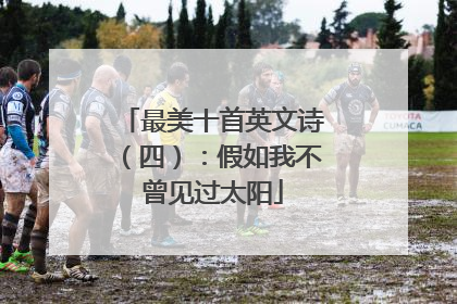 最美十首英文诗(四):假如我不曾见过太阳