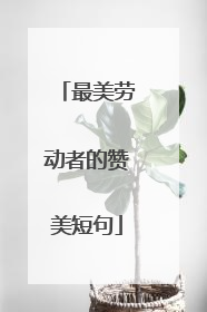 最美劳动者的赞美短句
