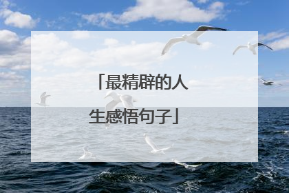 最精辟的人生感悟句子
