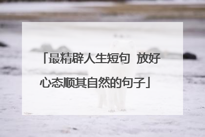 最精辟人生短句 放好心态顺其自然的句子