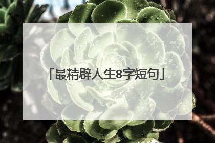 最精辟人生8字短句