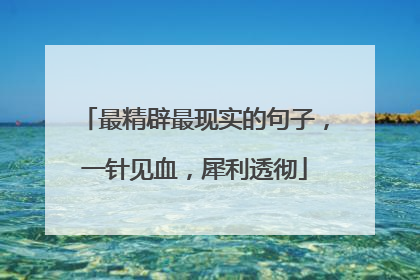 最精辟最现实的句子,一针见血,犀利透彻