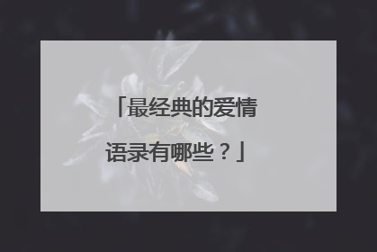 最经典的爱情语录有哪些?