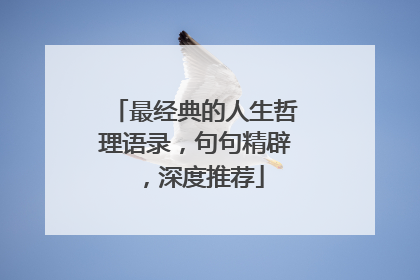 最经典的人生哲理语录,句句精辟,深度推荐