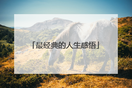 最经典的人生感悟
