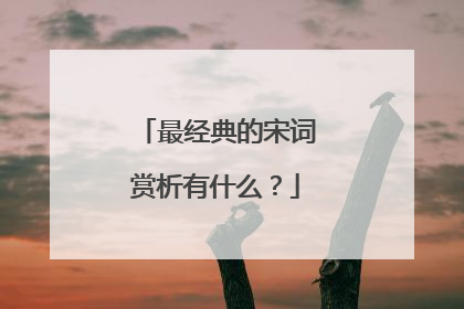 最经典的宋词赏析有什么?