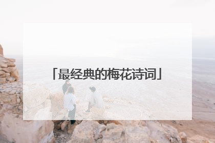 最经典的梅花诗词