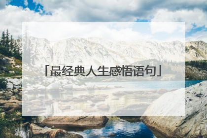 最经典人生感悟语句