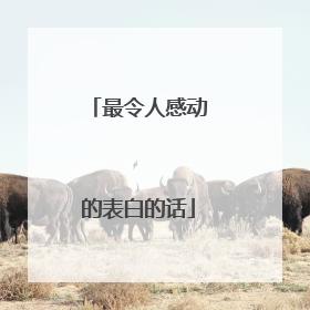 最令人感动的表白的话