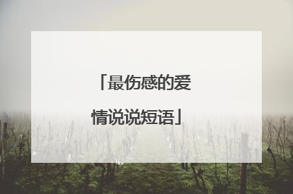最伤感的爱情说说短语