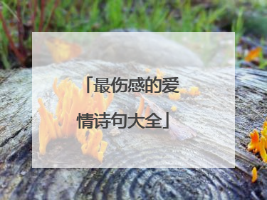 最伤感的爱情诗句大全