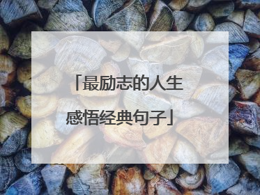 最励志的人生感悟经典句子
