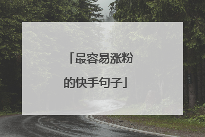 最容易涨粉的快手句子