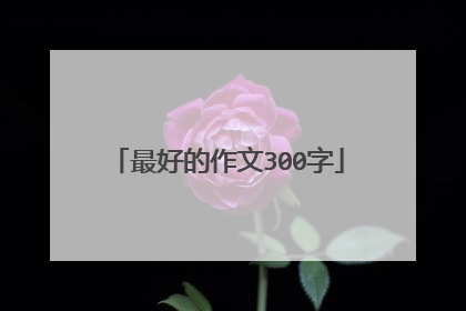 最好的作文300字