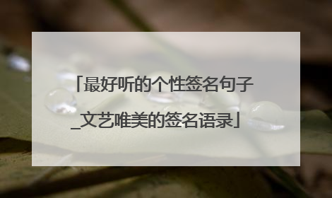 最好听的个性签名句子_文艺唯美的签名语录