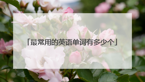 最常用的英语单词有多少个