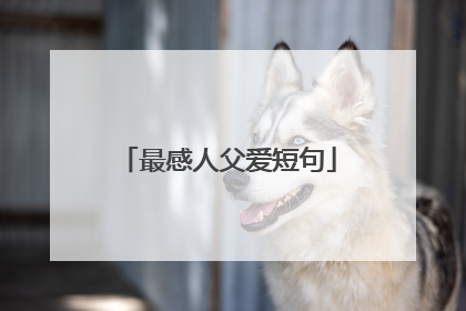 最感人父爱短句