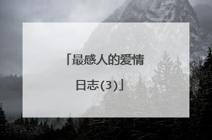 最感人的爱情日志(3)