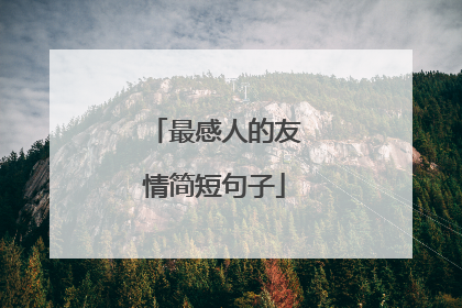 最感人的友情简短句子