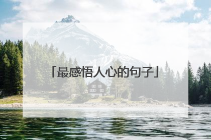最感悟人心的句子