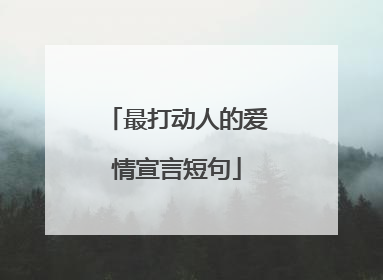 最打动人的爱情宣言短句