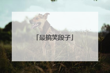 最搞笑段子