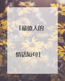 最撩人的情话短句