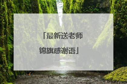 最新送老师锦旗感谢语