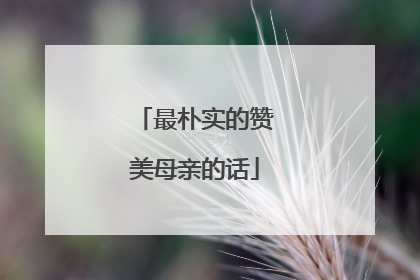 最朴实的赞美母亲的话