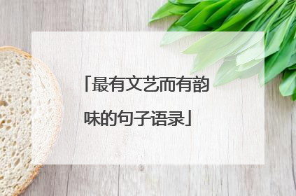 最有文艺而有韵味的句子语录