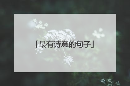 最有诗意的句子