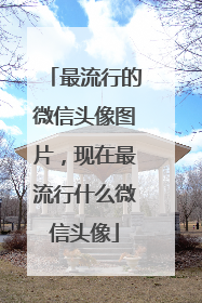 最流行的微信头像图片，现在最流行什么微信头像