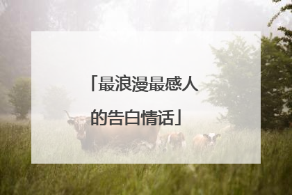 最浪漫最感人的告白情话