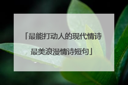 最能打动人的现代情诗 最美浪漫情诗短句