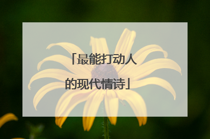 最能打动人的现代情诗