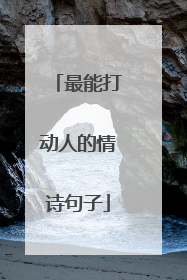 最能打动人的情诗句子