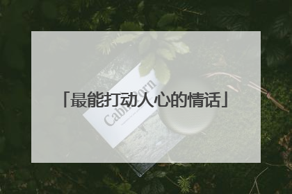 最能打动人心的情话