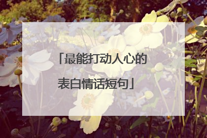 最能打动人心的表白情话短句