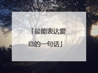 最能表达爱意的一句话