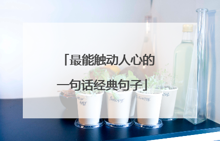 最能触动人心的一句话经典句子