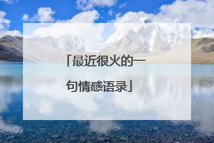 最近很火的一句情感语录